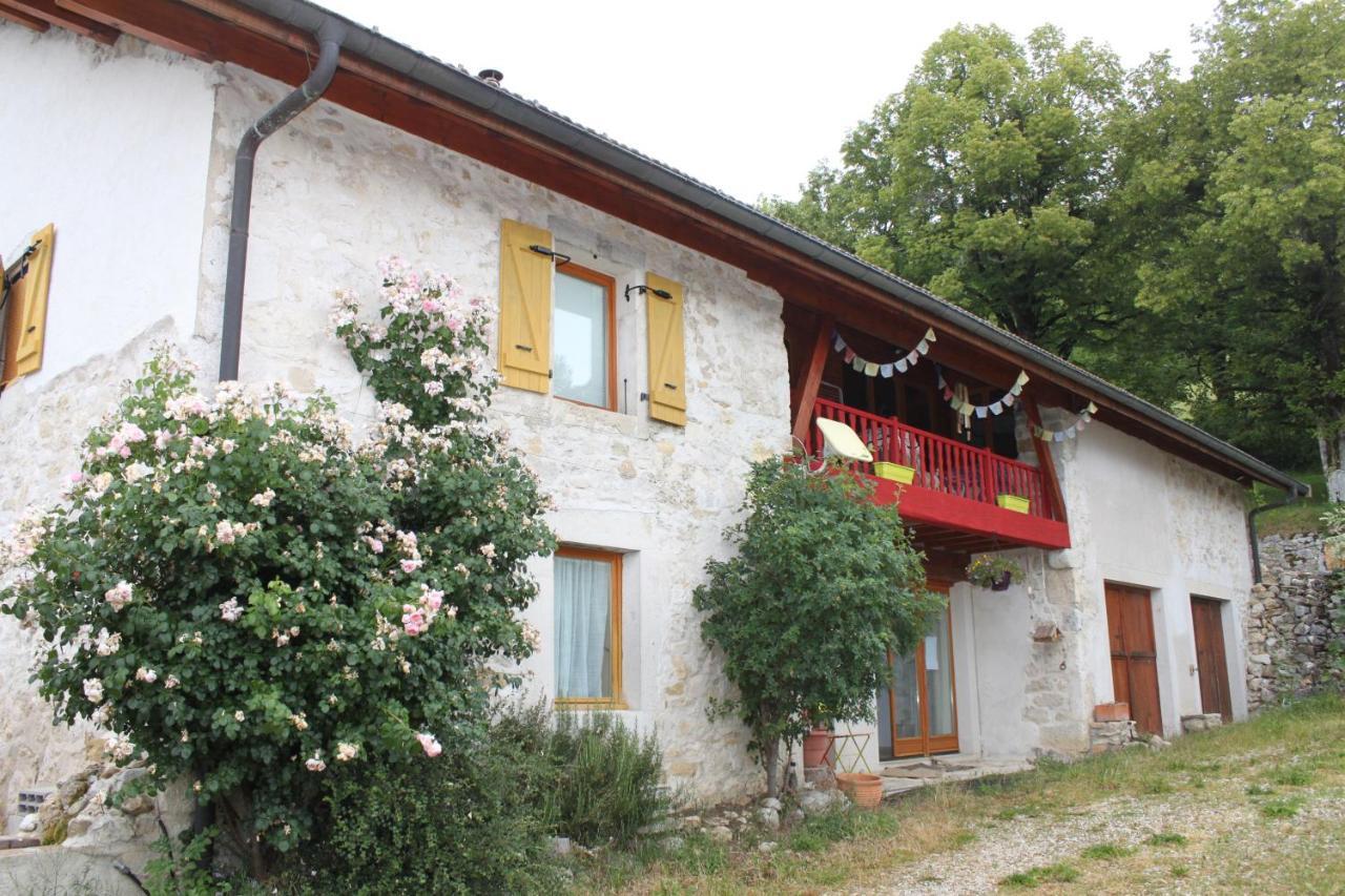 Chez Louve Bleue Bed & Breakfast Hotonnes Exterior foto