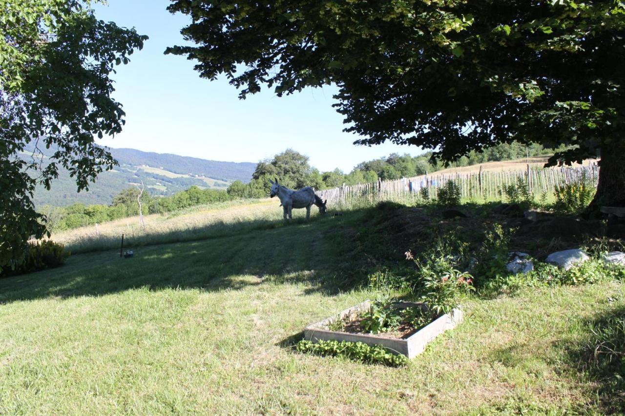 Chez Louve Bleue Bed & Breakfast Hotonnes Exterior foto